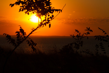 Similar image 21947273