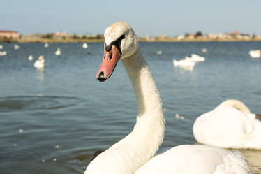 Similar image 21947277