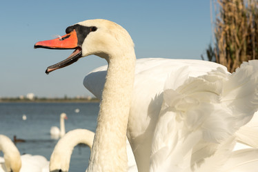 Similar image 21947278