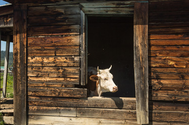 Similar image 21947507