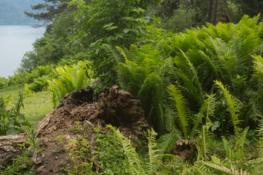 Similar image 21947717