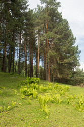 Similar image 21947718