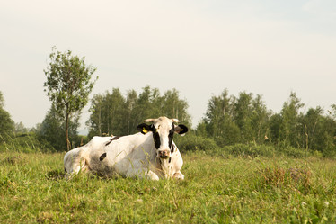 Similar image 21947925