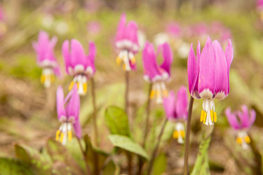 Similar image 21947936