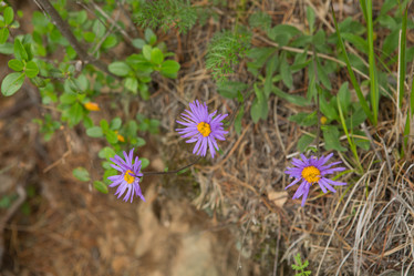 Similar image 21947947