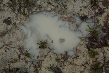 Similar image 21947950