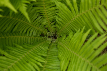 Similar image 21947953