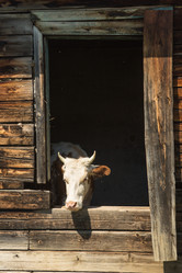 Similar image 21947957