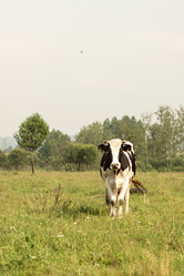 Similar image 21947523