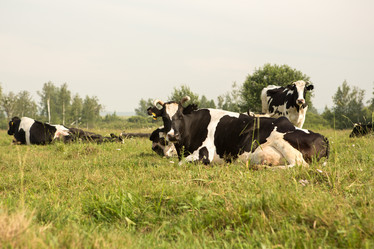 Similar image 21947525