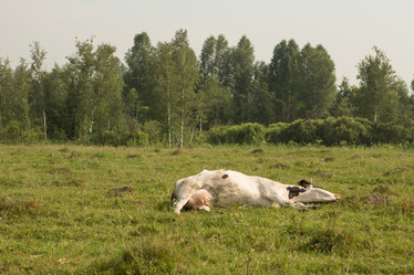 Similar image 21947526