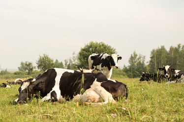 Similar image 21947527