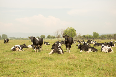 Similar image 21947528