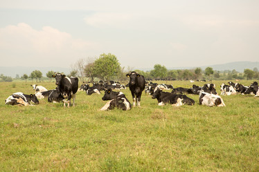 Similar image 21947720