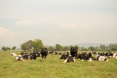 Similar image 21947721