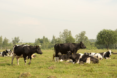 Similar image 21947723