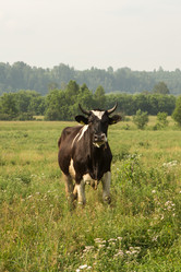 Similar image 21947724