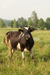 Similar image 21947725