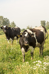 Similar image 21947727