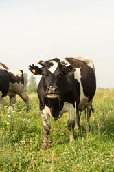 Similar image 21947729