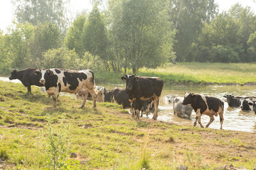 Similar image 21947961