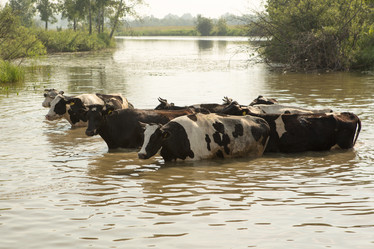 Similar image 21947964