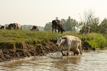 Similar image 21947965