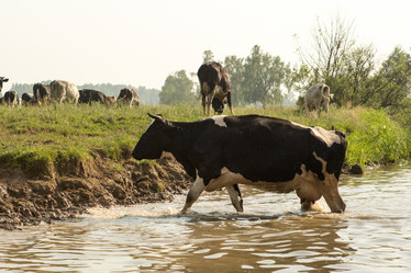 Similar image 21947966