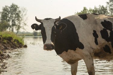 Similar image 21947968