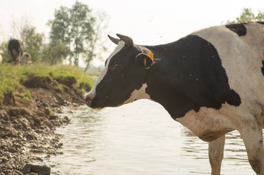 Similar image 21947969