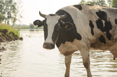 Similar image 21947970