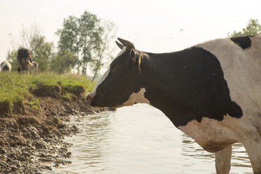 Similar image 21947971