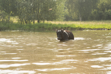 Similar image 21947972