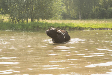 Similar image 21947973