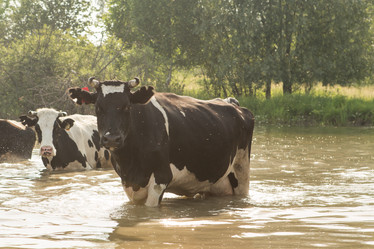 Similar image 21947974