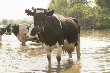 Similar image 21947976