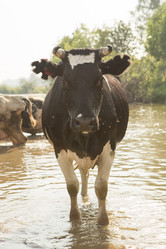 Similar image 21947979