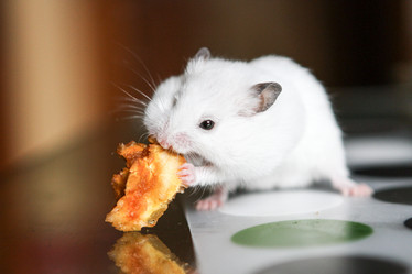 Similar image 21949808