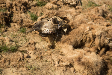 Similar image 21947078