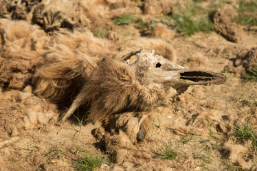 Similar image 21947082