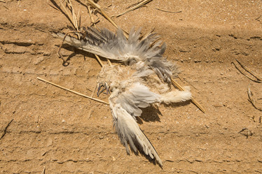 Similar image 21947283