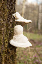 Similar image 21947530