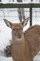 Similar image 21947535