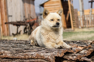 Similar image 21947539