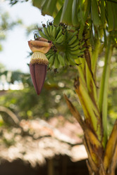 Similar image 21947737