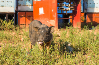 Similar image 21947739