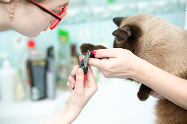 Similar image 21947740