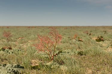 Similar image 21947541