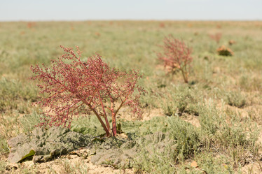 Similar image 21947544