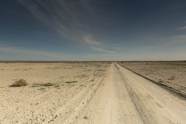 Similar image 21947747